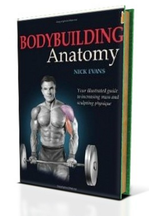 Product picture Body Building-AAA+++